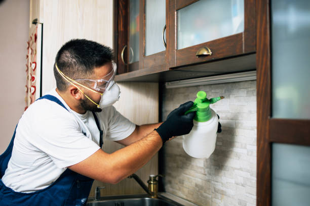Best Local Pest Control Services  in Ash Flat, AR