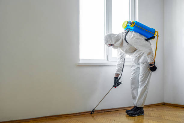 Best Pest Prevention Services  in Ash Flat, AR
