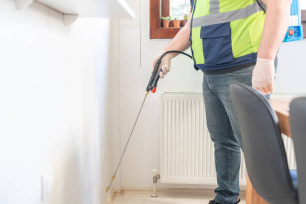 Best Rat Extermination Near Me  in Ash Flat, AR