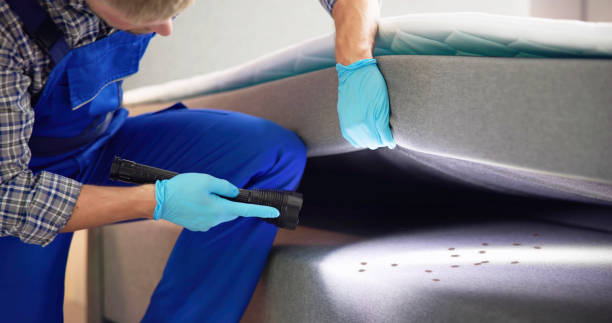 Ash Flat, AR Pest Control Company